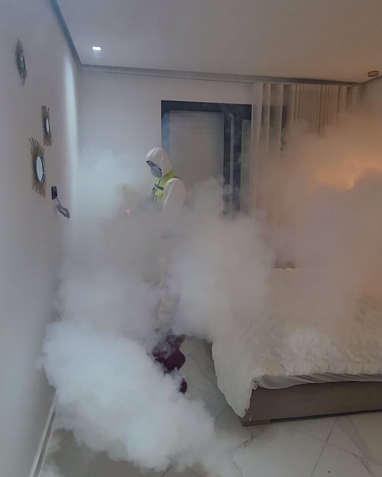 🦟 désinsectisation professionnelle avec mafu pro hygiÈne 🏠🍴 vous avez des soucis d insectes dans vos appartements villas ou restaurants ne 10