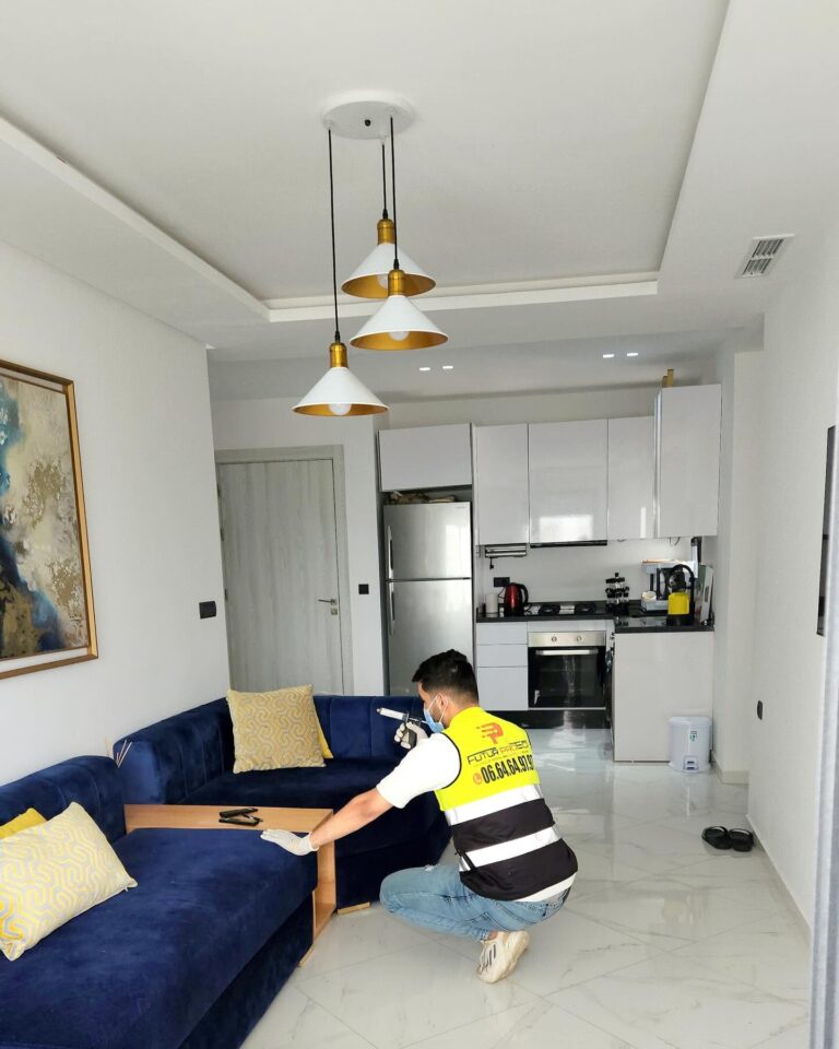 🦟 désinsectisation professionnelle avec mafu pro hygiÈne 🏠🍴 vous avez des soucis d insectes dans vos appartements villas ou restaurants ne v 3