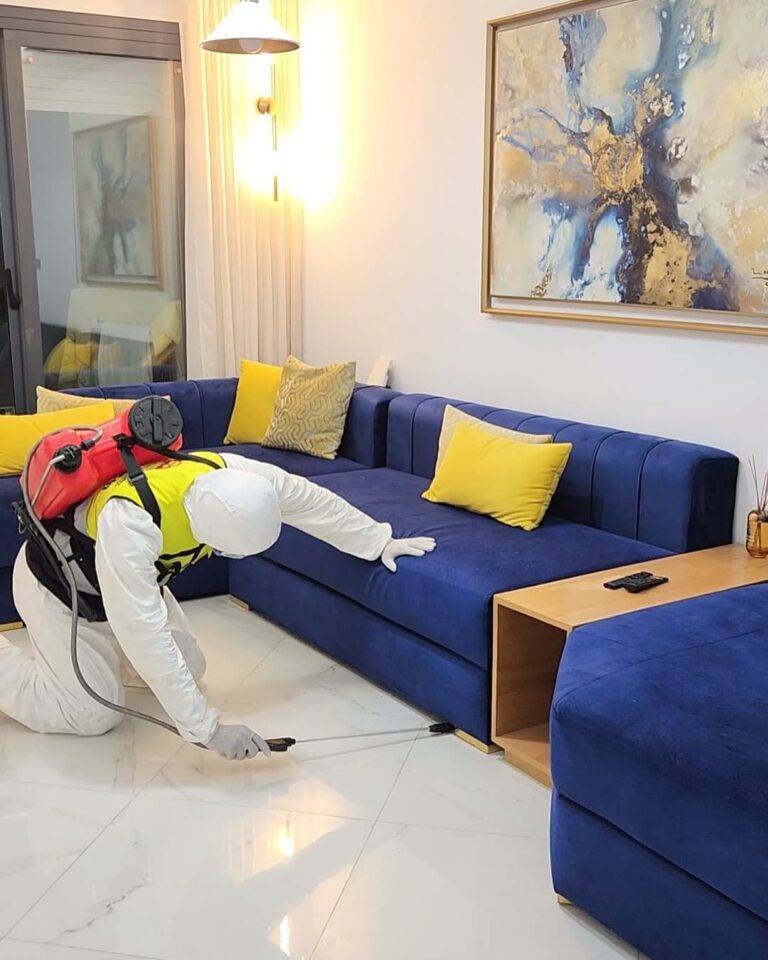 🦟 désinsectisation professionnelle avec mafu pro hygiÈne 🏠🍴 vous avez des soucis d insectes dans vos appartements villas ou restaurants ne v 4