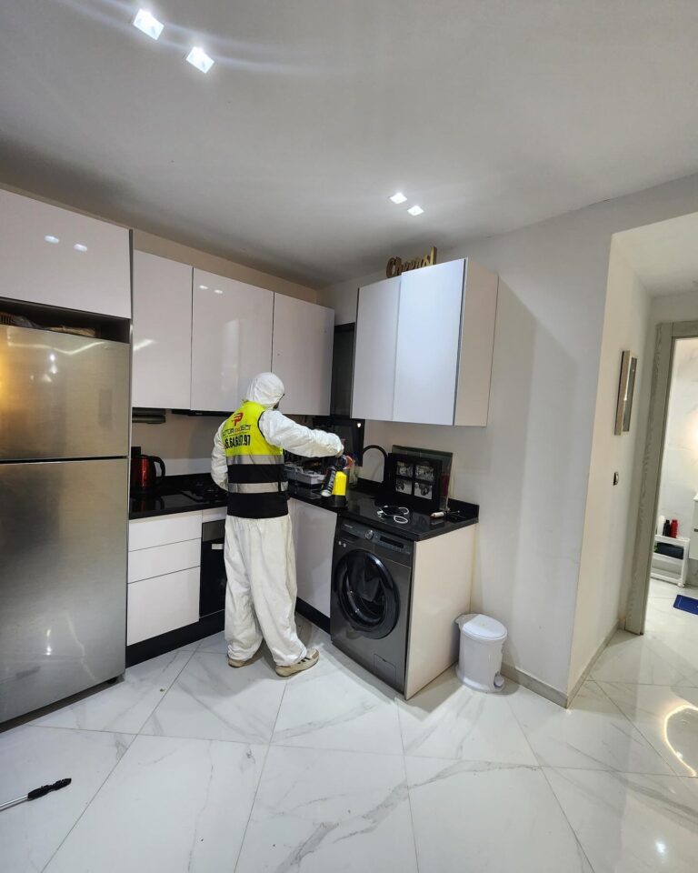 🦟 désinsectisation professionnelle avec mafu pro hygiÈne 🏠🍴 vous avez des soucis d insectes dans vos appartements villas ou restaurants ne v 8